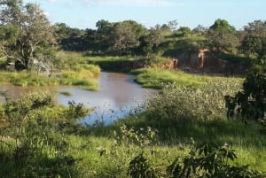 Centro de resgate de vida selvagem e parque de preservação