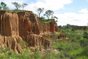 Centro de resgate de vida selvagem e parque de preservação