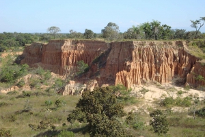 Dierenopvangcentrum en natuurbehoudspark