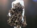 Chocolate Shaving Dress