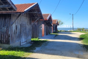 Desde Burdeos: Excursión Privada Duna del Pilat, Bahía de Arcachon y Pueblo de las Ostras