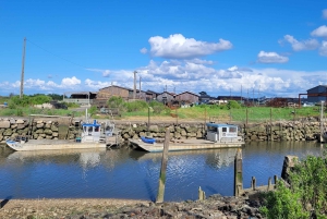 Desde Burdeos: Excursión Privada Duna del Pilat, Bahía de Arcachon y Pueblo de las Ostras