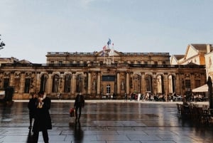 Bordeaux: tour a piedi di 1 ora e 30 minuti per scoprire i punti di riferimento storici