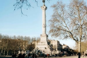 Bordeaux: tour a piedi di 1 ora e 30 minuti per scoprire i punti di riferimento storici