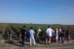 Bordeaux: Half-Day Margaux Tour