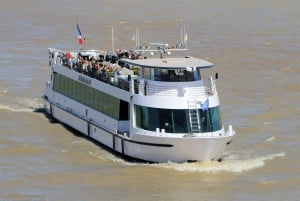Bordeaux: City Sightseeing Cruise