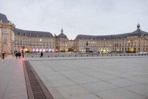 Bordeaux si risveglia: tour privato all'alba all'insegna della serenità mattutina