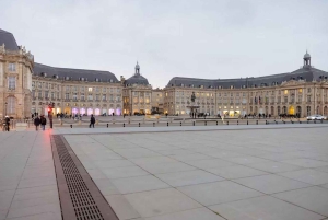Bordeaux Awakens: Private Sunrise Serenity Morning Tour