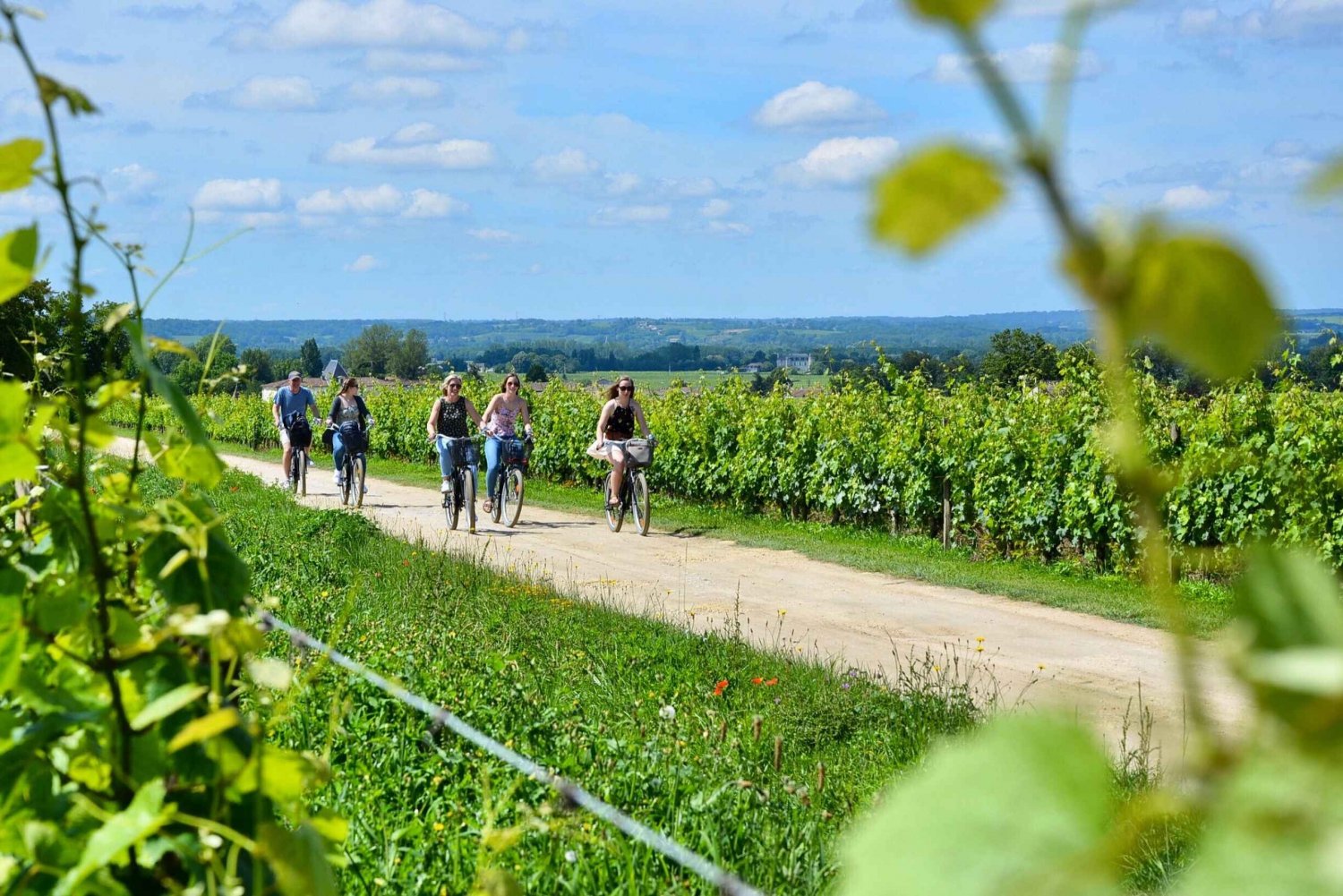 Bordeaux Backcountry E-Bike Tour mit Mittagessen und Weinverkostung
