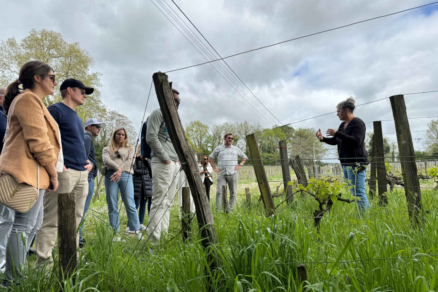 Bordeaux Backcountry E-Bike Tour with Lunch & Wine Tasting