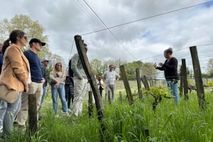 Bordeaux Backcountry E-Bike Tour with Lunch & Wine Tasting