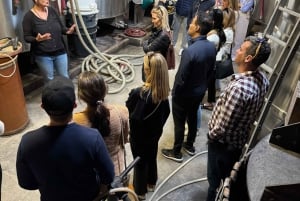 Bordeaux Backcountry E-Bike Tour with Lunch & Wine Tasting