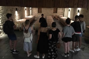 Bordeaux Backcountry E-Bike Tour with Lunch & Wine Tasting