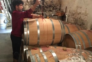 Bordeaux Backcountry E-Bike Tour with Lunch & Wine Tasting