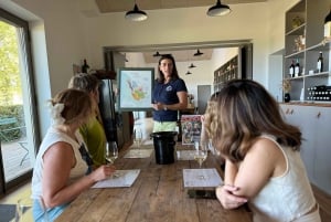 Bordeaux Backcountry E-Bike Tour with Lunch & Wine Tasting