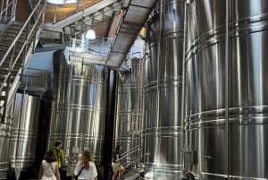 Bordeaux Backcountry E-Bike Tour with Lunch & Wine Tasting