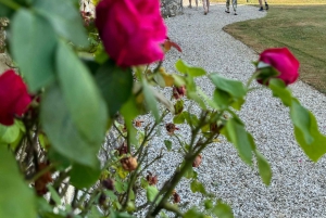 Bordeaux Backcountry E-Bike Tour with Lunch & Wine Tasting