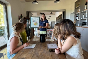 Bordeaux Backcountry E-Bike Tour with Lunch & Wine Tasting