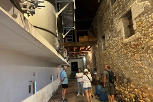 Bordeaux Backcountry E-Bike Tour with Lunch & Wine Tasting