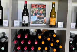 Bordeaux Backcountry E-Bike Tour with Lunch & Wine Tasting