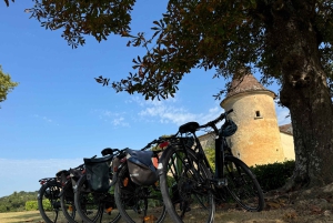 Bordeaux Backcountry E-Bike Tour with Lunch & Wine Tasting