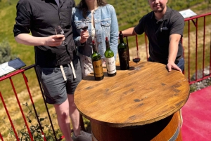 Bordeaux Backcountry E-Bike Tour with Lunch & Wine Tasting