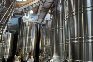 Bordeaux Backcountry E-Bike Tour with Lunch & Wine Tasting