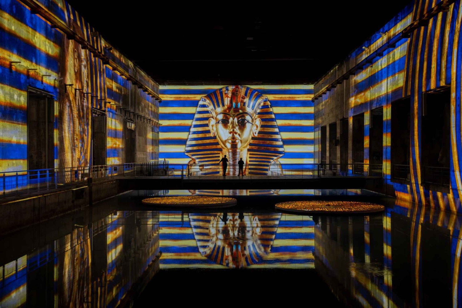 Bordeaux : Bassins des Lumières Billet d’entrée