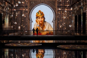 Bordeaux : Bassins des Lumières Billet d’entrée