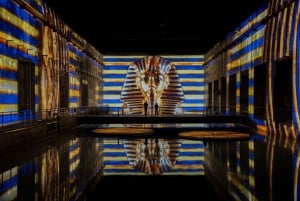 Bordeaux : Bassins des Lumières Billet d’entrée