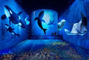 Bordeaux : Bassins des Lumières Billet Océan