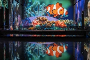 Bordeaux : Bassins des Lumières Billet Océan