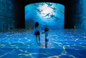 Bordeaux : Bassins des Lumières Billet Océan