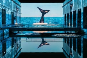 Bordeaux : Bassins des Lumières Billet Océan