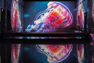 Bordeaux : Bassins des Lumières Billet Océan