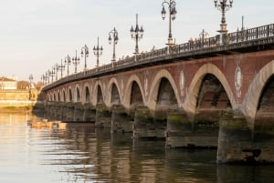 Bordeaux em bicicleta de cascalho: Vinhedos de Entre-Deux-Mers
