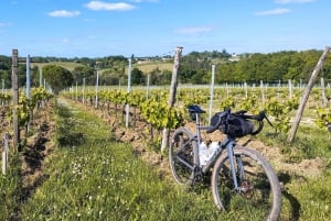 Burdeos en bicicleta de gravilla : Viñedos de Entre-Deux-Mers
