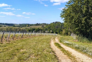 Bordeaux med gruscykel : Entre-Deux-Mers vingårdar