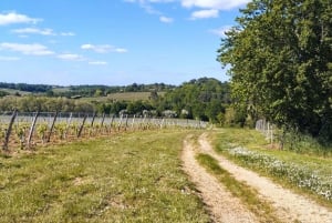 Bordeaux på grussykkel : Entre-Deux-Mers vingårder