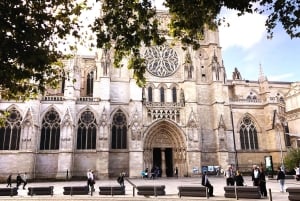 Bordeaux: Cattura i luoghi più fotogenici con un abitante del posto