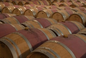 Bordeaux: Château Saint Ahon classic tour
