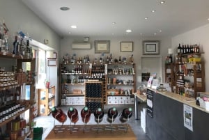Bordeaux: Château Saint Ahon classic tour