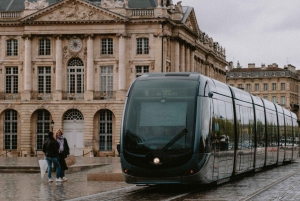 Bordeaux: Private Guided Walking Tour