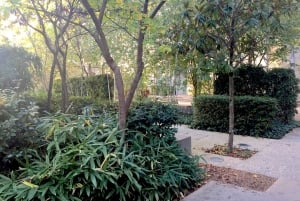 Bordeaux Contemporary landscapes