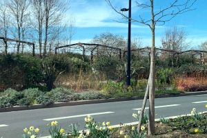 Bordeaux Contemporary landscapes