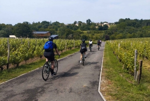 From Bordeaux: Surf & Ocean Day Trip in Lacanau