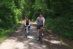 From Bordeaux: Surf & Ocean Day Trip in Lacanau
