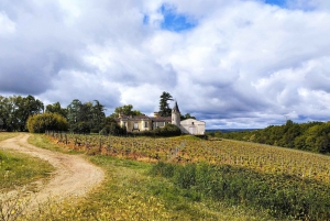 From Bordeaux: Surf & Ocean Day Trip in Lacanau