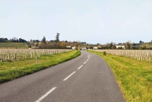 From Bordeaux: Surf & Ocean Day Trip in Lacanau