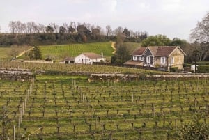 From Bordeaux: Surf & Ocean Day Trip in Lacanau